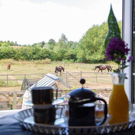 Cherry Orchard Farm South Wraxall Chambre photo